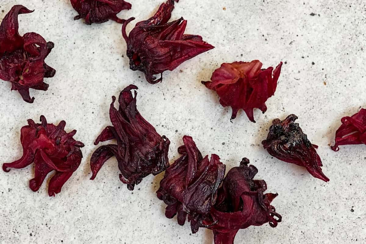 Calices d'Hibiscus sabdariffa séchés, charnus et rouge bordeaux