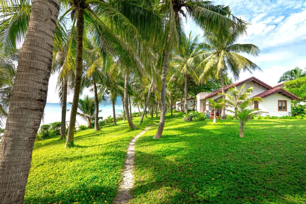 Villas entourées de cocotiers dans une résidence de la Petite Côte