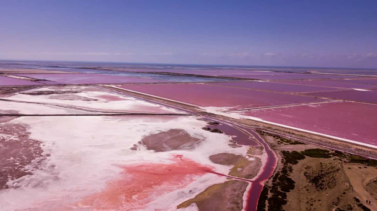 Vue aérienne des marais salants roses du lac Retba au Sénégal