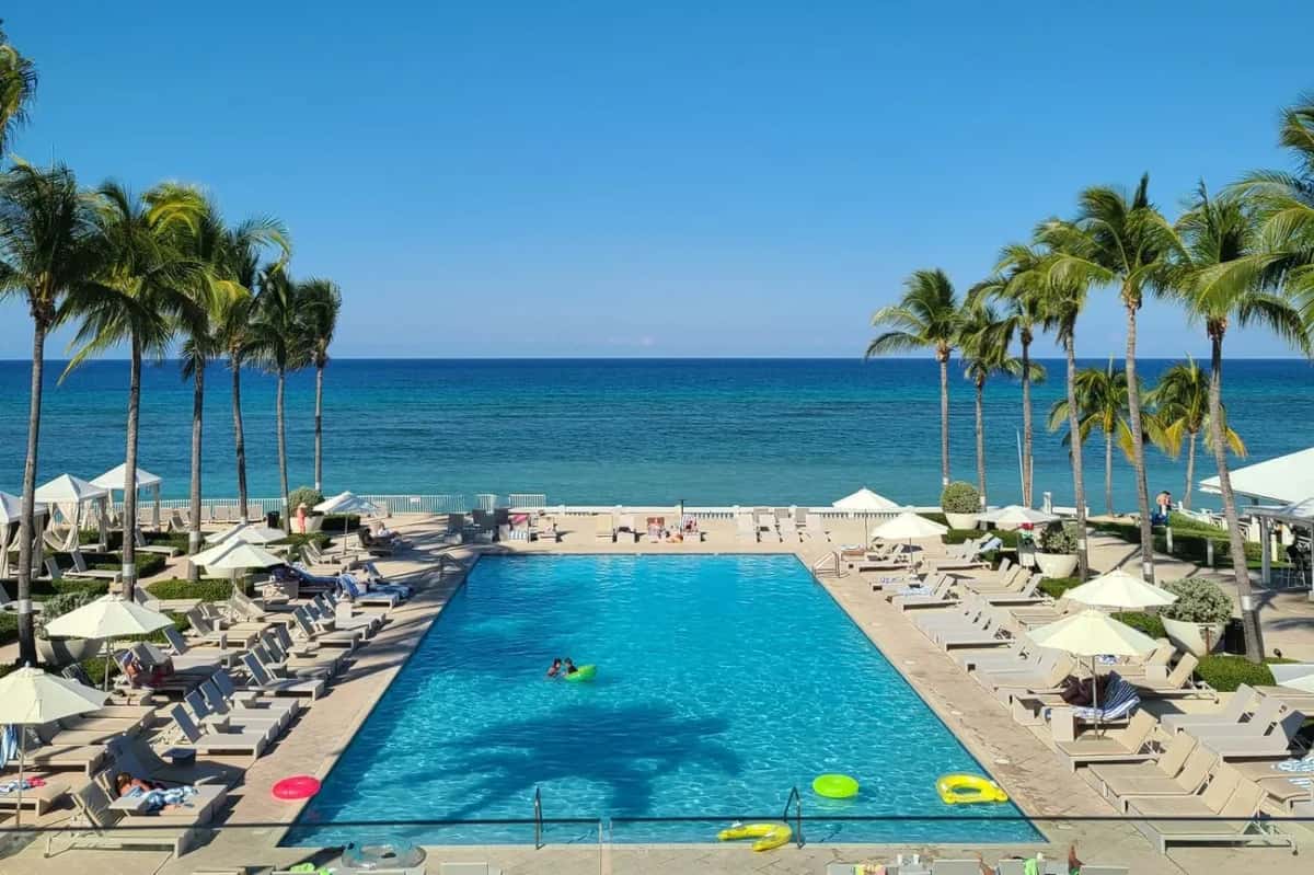 Piscine d'hôtel bordée de palmiers et de transats face à l'océan