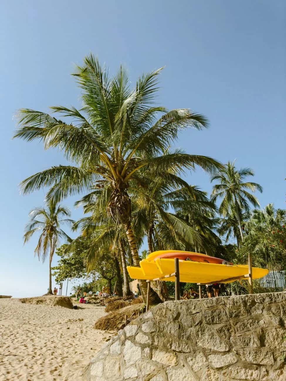 Plage de sable et cocotiers à Cap Skirring en Casamance