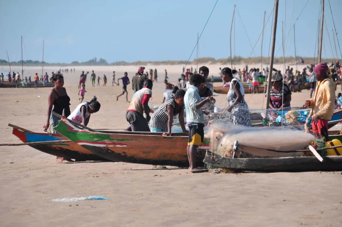 Retour de pêche et pirogues sur une plage d'Afrique de l'Ouest