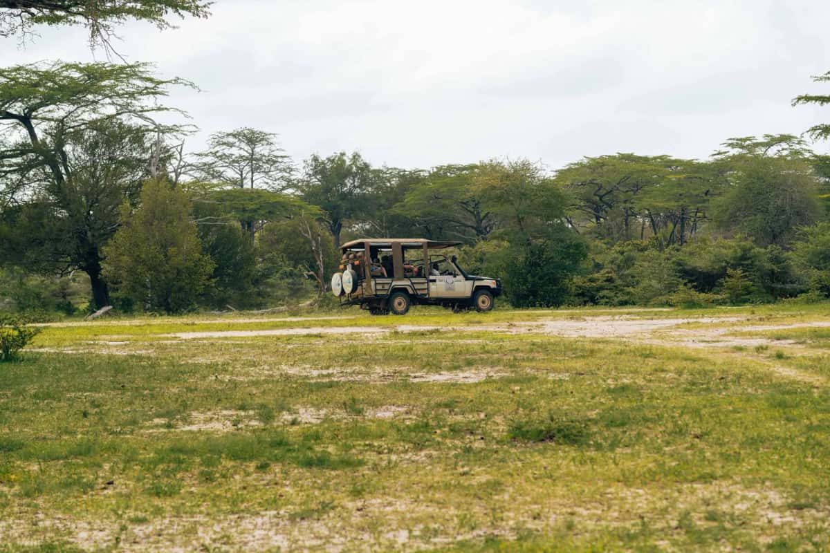 Véhicule de safari ouvert avec passagers sur une piste bordée d'acacias
